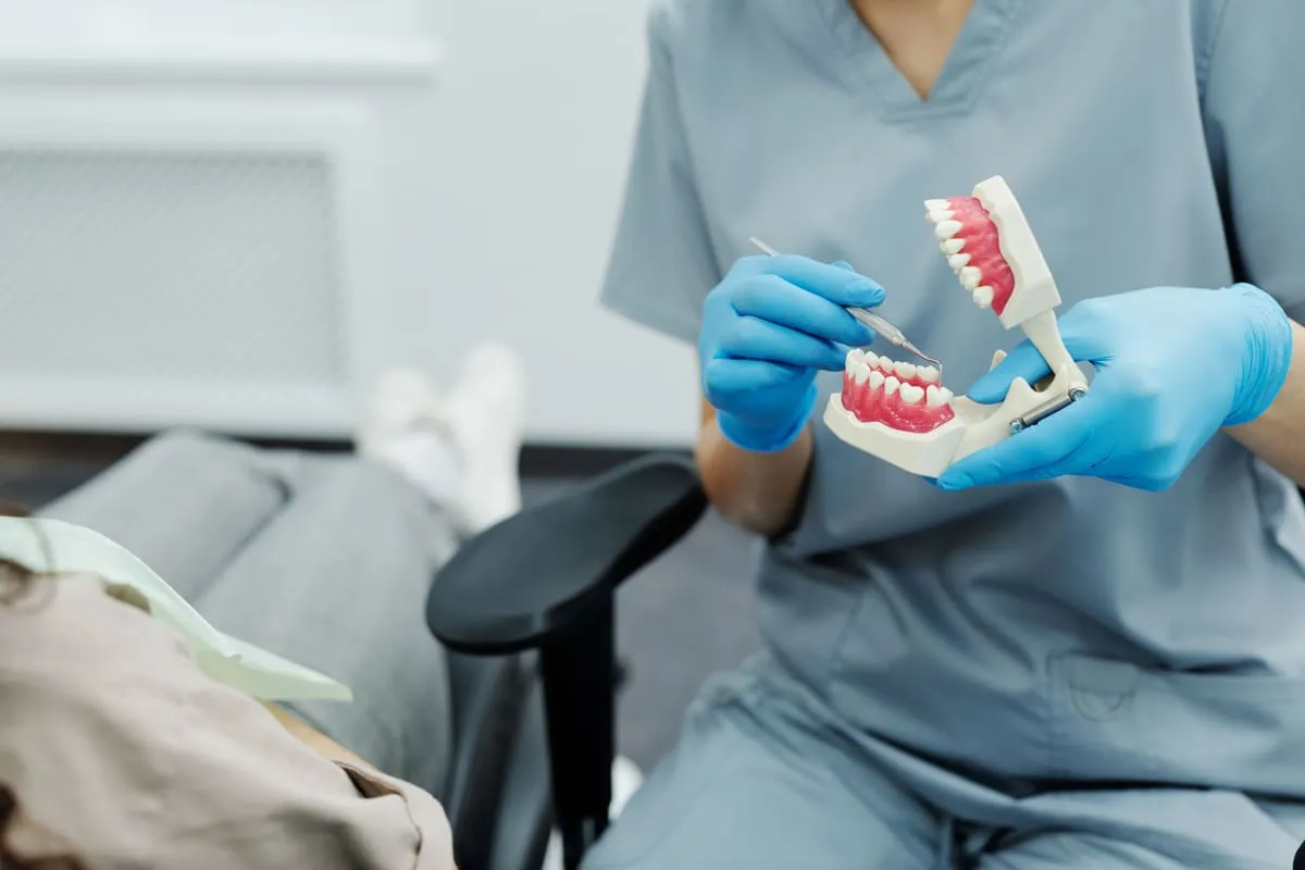 A dental professional in scrubs and gloves holding an anatomical teeth model and a dental scaler while explaining technique